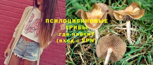 гашик Абаза