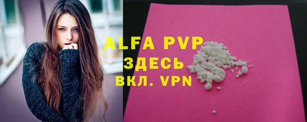 гашик Абаза