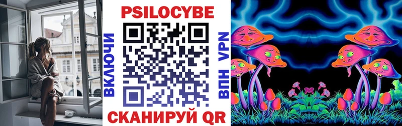 купить  сайты  Южа  Псилоцибиновые грибы мухоморы 